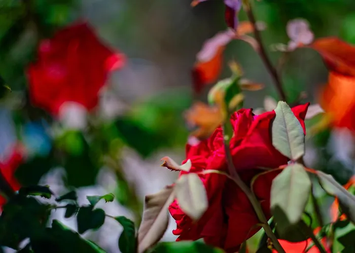 Сasa de vacaciones Casa Coromandel